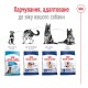 Royal Canin Maxi Adult 5+ Сухой корм для собак