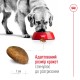 Royal Canin Maxi Ageing 8+ Сухой корм для собак