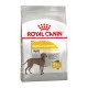 Royal Canin Maxi Dermacomfort Сухой корм для собак