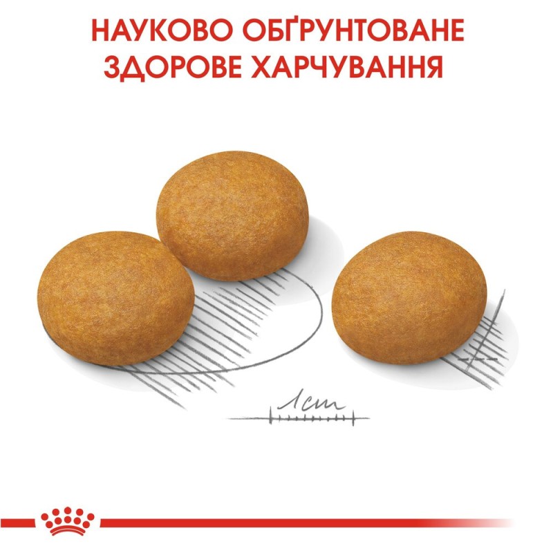 Royal Canin Maxi Dermacomfort Сухой корм для собак