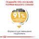 Royal Canin Maxi Dermacomfort Сухой корм для собак
