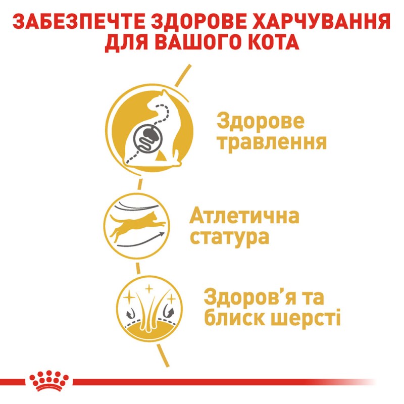 Royal Canin Bengal Adult Сухой корм для взрослых кошек