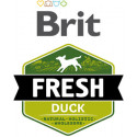 Brit fresh